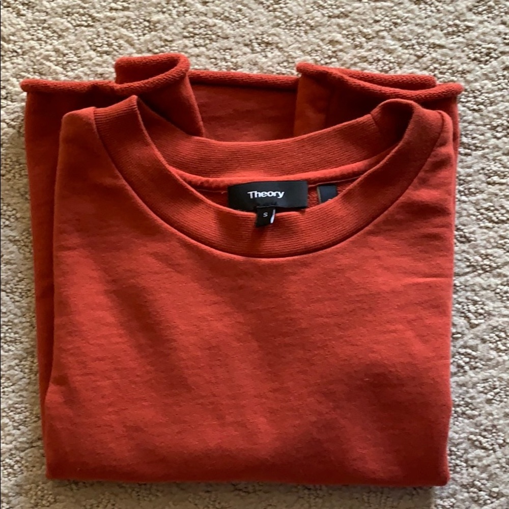 Theory 2.0 Baby Tee Size Small